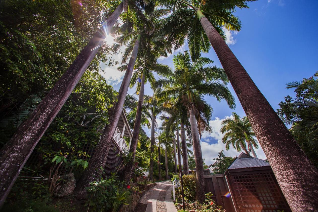 Cocos Hotel Antigua (Adults Only) Bolands エクステリア 写真